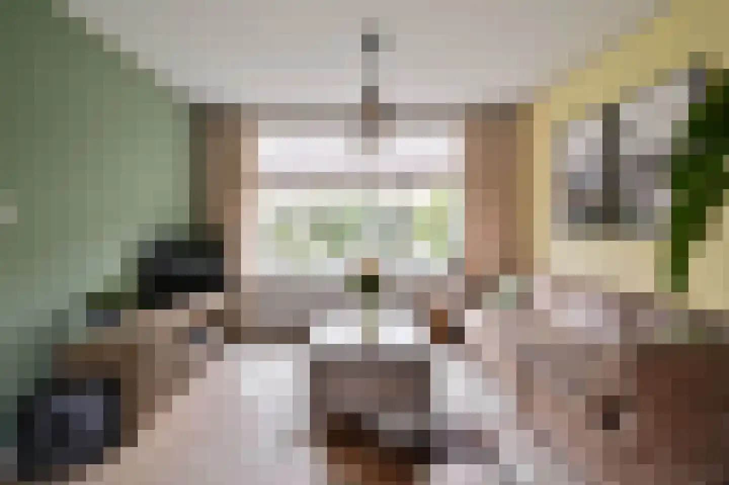 Dokter Bloemstraat 89 Spierdijk thumbnail 7