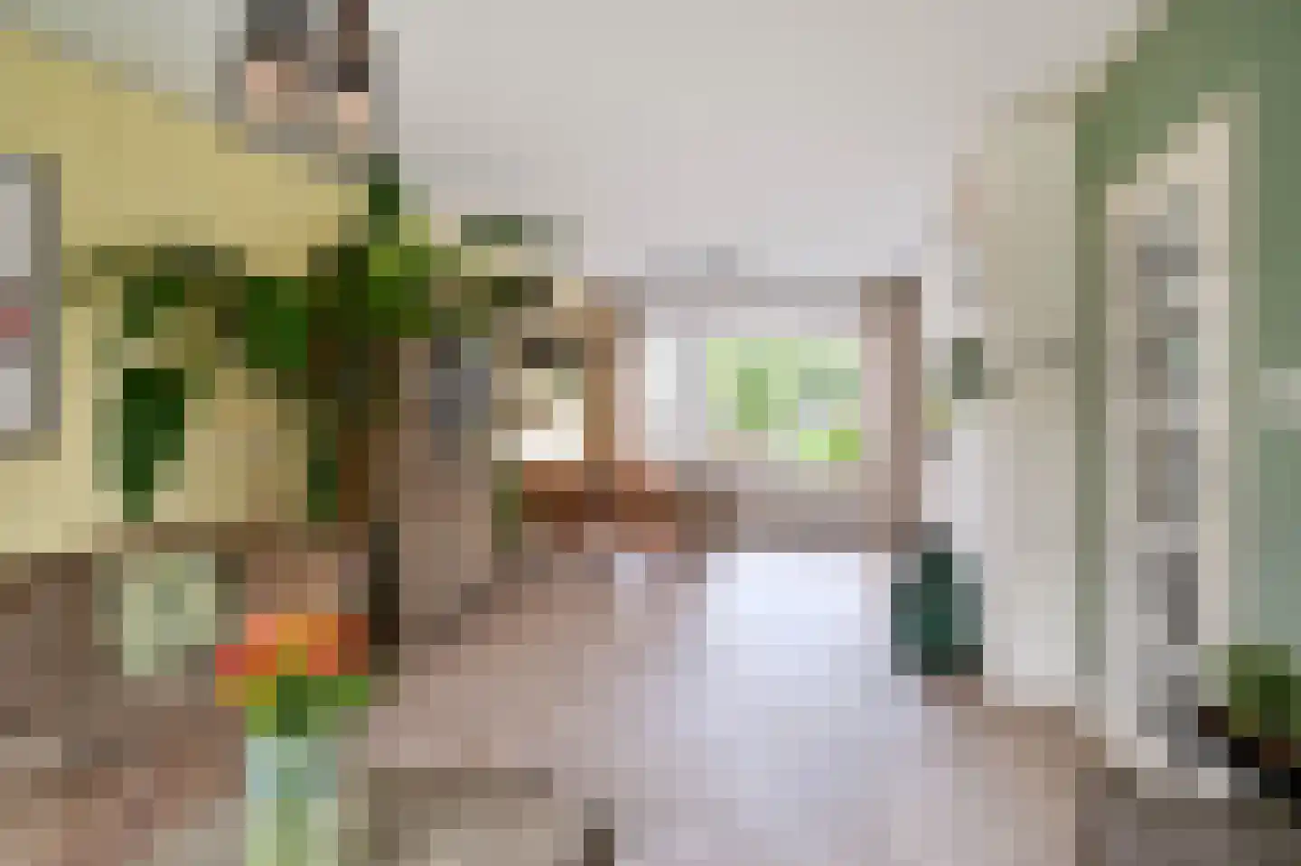 Dokter Bloemstraat 89 Spierdijk thumbnail 8