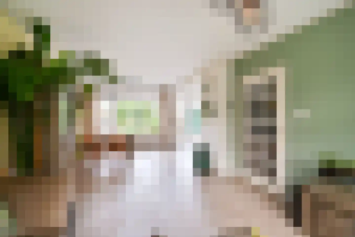 Dokter Bloemstraat 89 Spierdijk thumbnail 9
