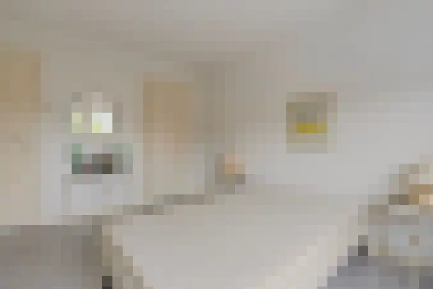Dokter Blumenkampstraat 16 Venlo thumbnail 14