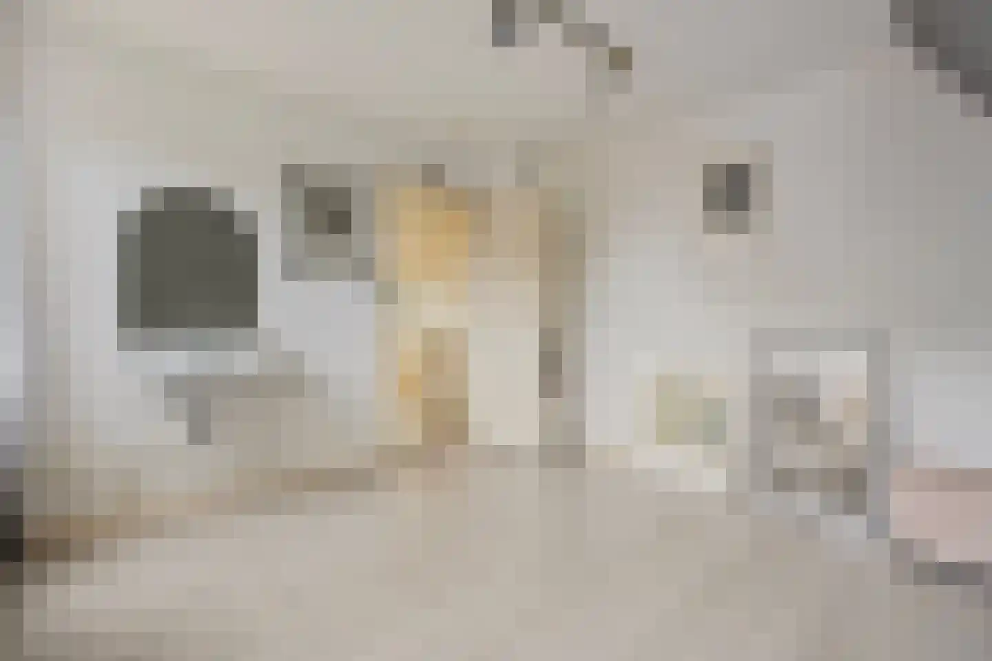 Dokter Blumenkampstraat 16 Venlo thumbnail 17