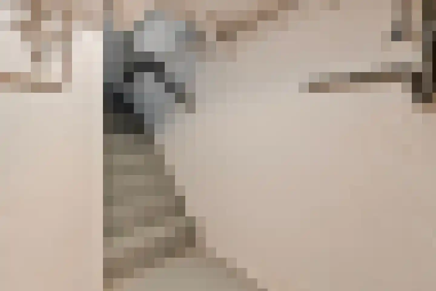 Dokter Blumenkampstraat 16 Venlo thumbnail 24