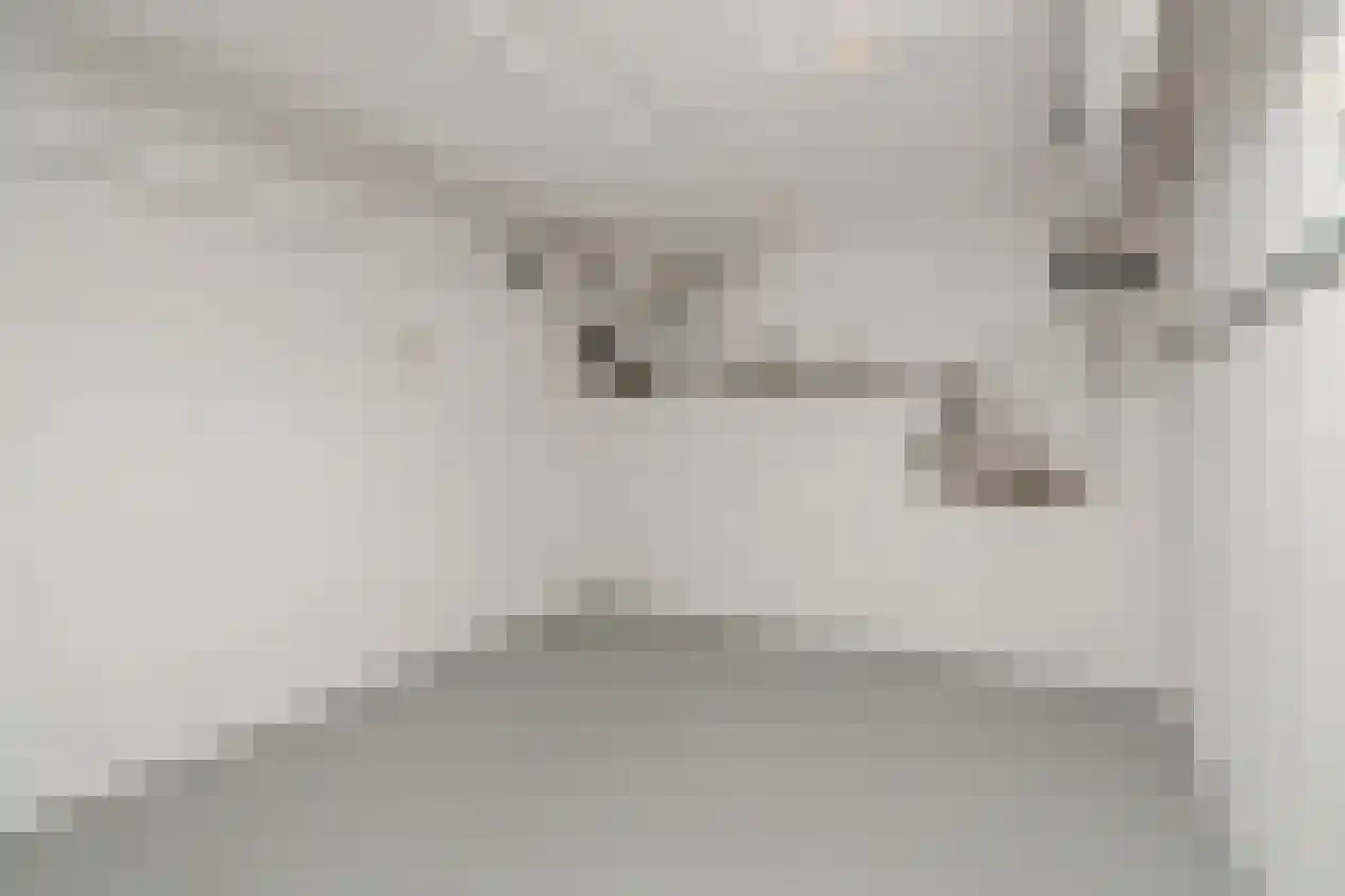Dokter Blumenkampstraat 16 Venlo thumbnail 25
