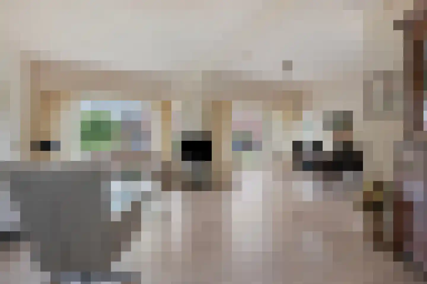 Dokter Blumenkampstraat 16 Venlo thumbnail 4