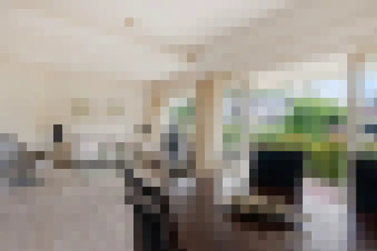 Dokter Blumenkampstraat 16 Venlo thumbnail 5
