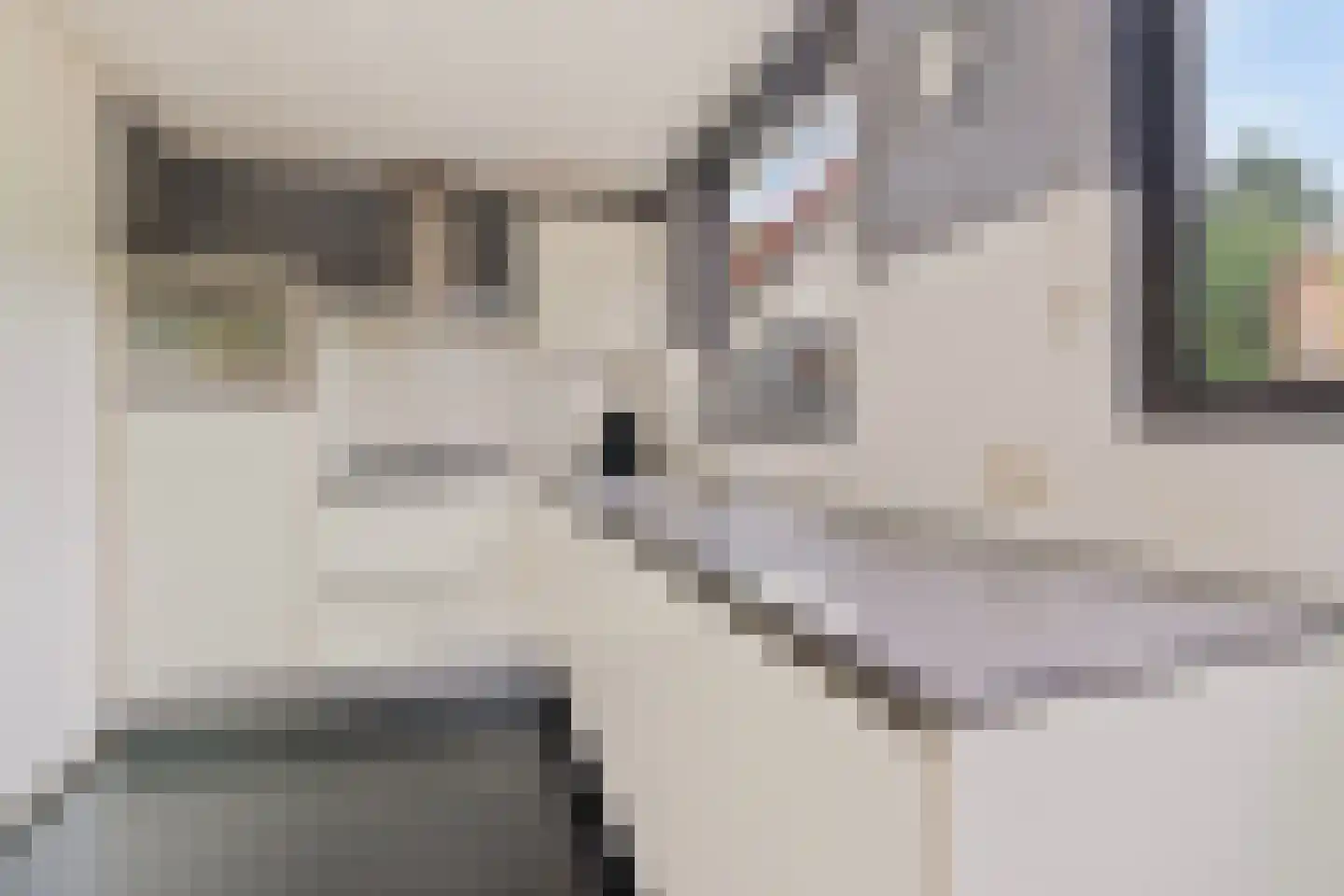 Dokter Blumenkampstraat 16 Venlo thumbnail 9