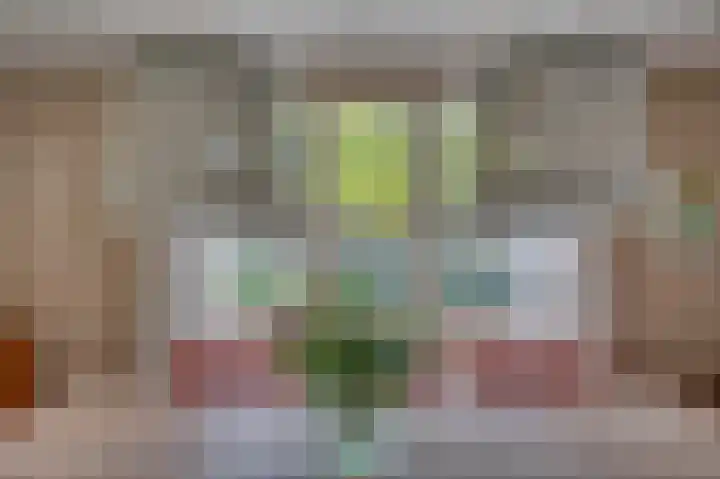 Dokter Blumenkampstraat 8 Venlo thumbnail 11