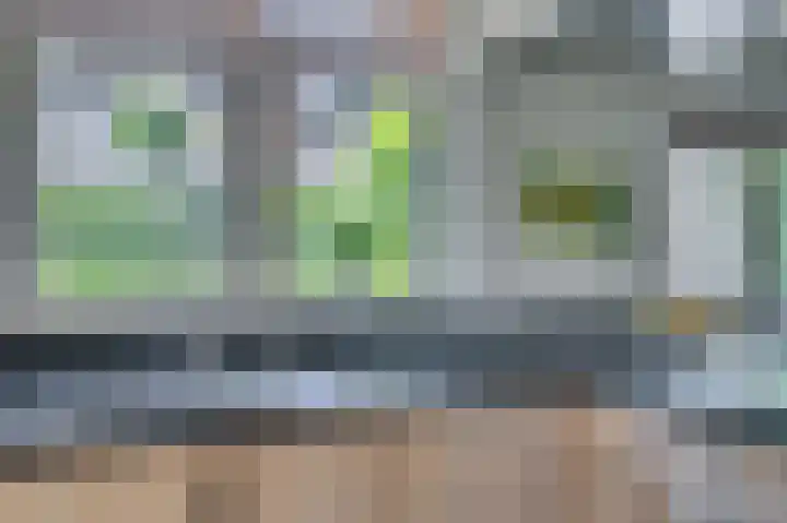 Dokter Blumenkampstraat 8 Venlo thumbnail 16