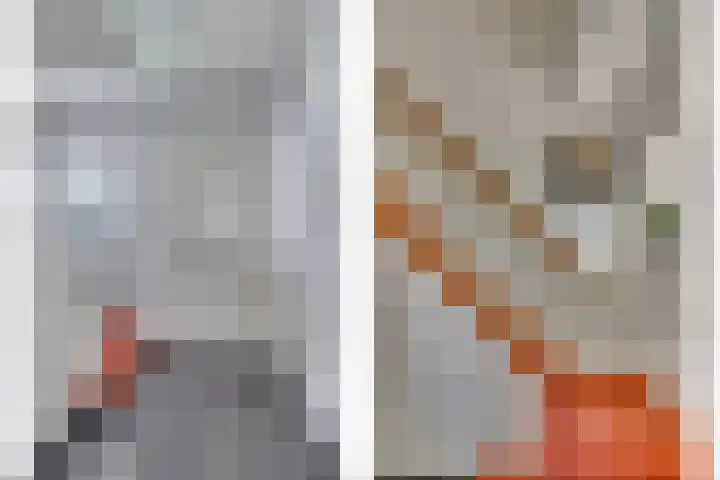 Dokter Blumenkampstraat 8 Venlo thumbnail 20