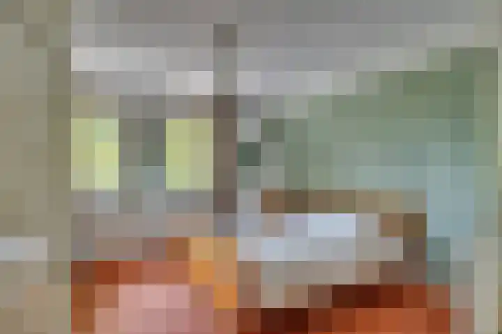 Dokter Blumenkampstraat 8 Venlo thumbnail 27