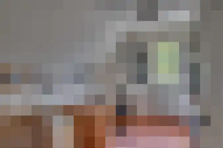 Dokter Blumenkampstraat 8 Venlo thumbnail 29