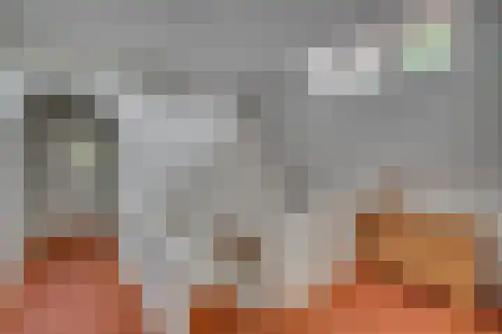 Dokter Blumenkampstraat 8 Venlo thumbnail 32