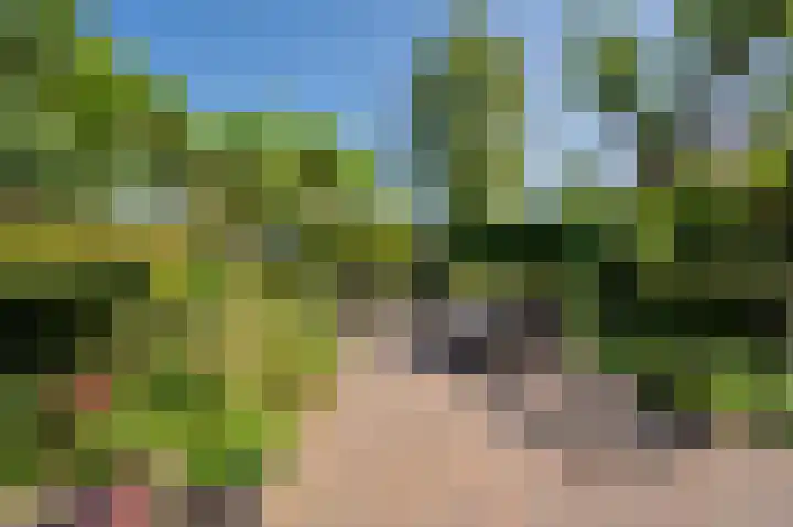 Dokter Blumenkampstraat 8 Venlo thumbnail 35