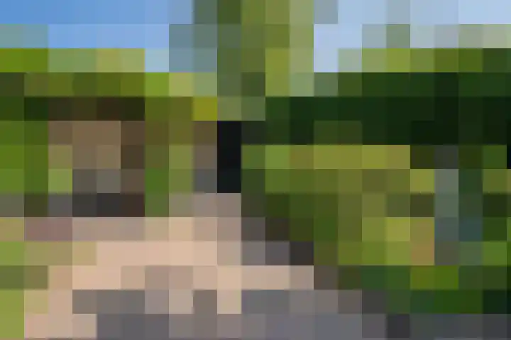 Dokter Blumenkampstraat 8 Venlo thumbnail 37