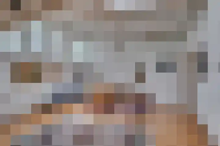 Dokter Blumenkampstraat 8 Venlo thumbnail 38
