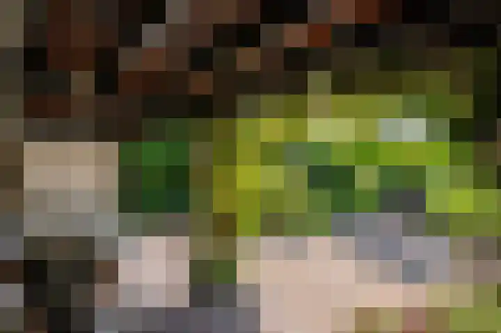 Dokter Blumenkampstraat 8 Venlo thumbnail 41