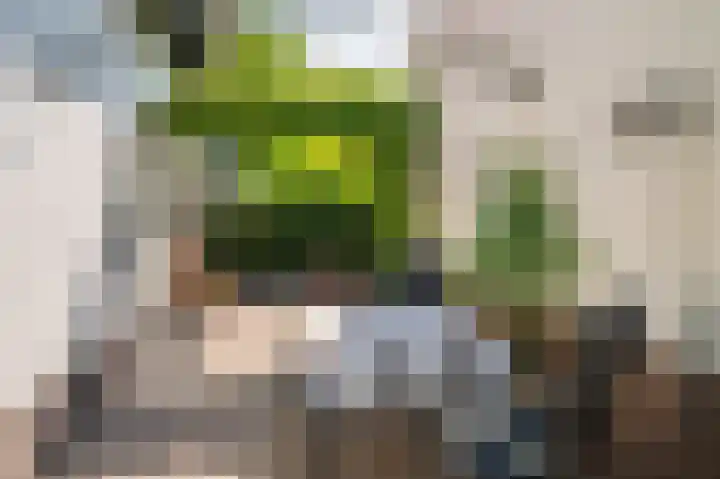 Dokter Blumenkampstraat 8 Venlo thumbnail 42