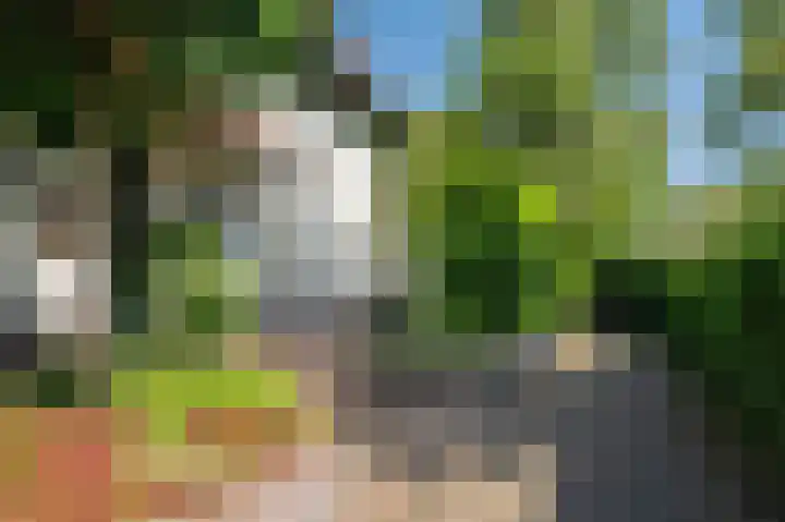 Dokter Blumenkampstraat 8 Venlo thumbnail 43