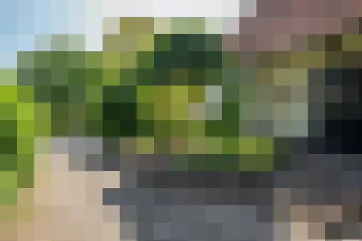 Dokter Blumenkampstraat 8 Venlo thumbnail 45