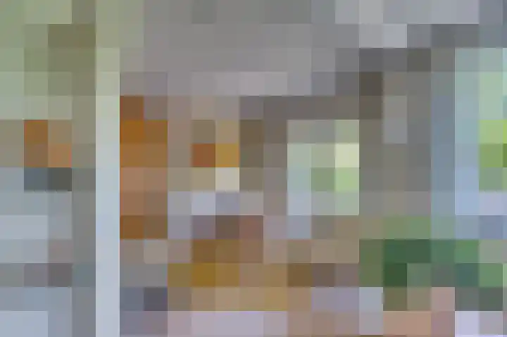 Dokter Blumenkampstraat 8 Venlo thumbnail 7