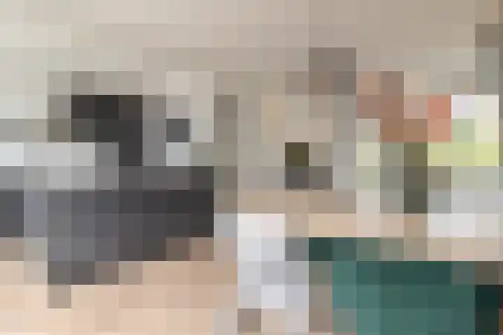 Dokter Bonstraat 13 Assendelft thumbnail 12