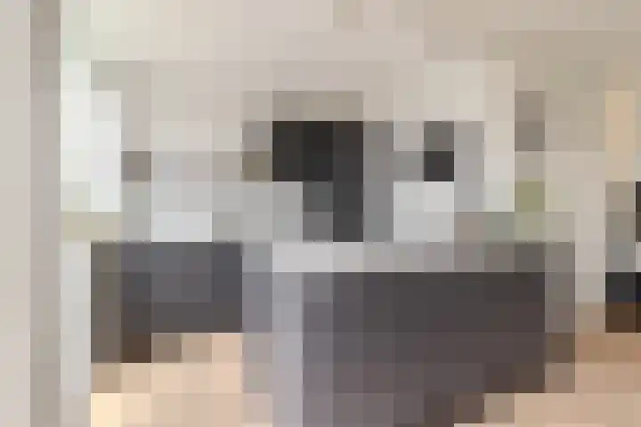 Dokter Bonstraat 13 Assendelft thumbnail 13