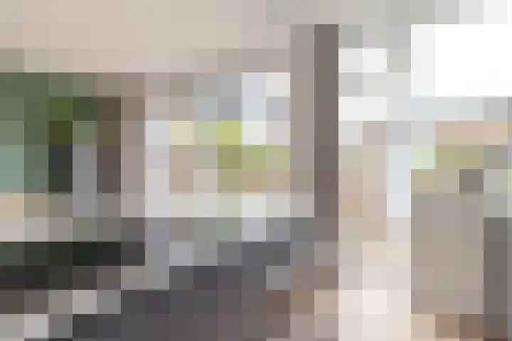 Dokter Bonstraat 13 Assendelft thumbnail 16