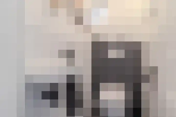 Dokter Bonstraat 13 Assendelft thumbnail 18