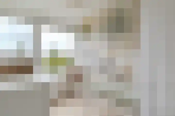 Dokter Bonstraat 13 Assendelft thumbnail 24