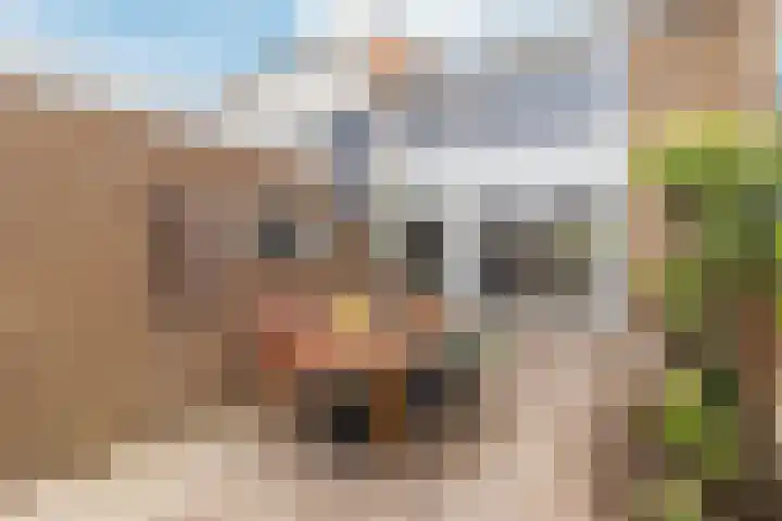 Dokter Bonstraat 13 Assendelft thumbnail 33