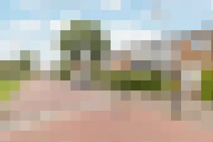 Dokter Bonstraat 13 Assendelft thumbnail 34