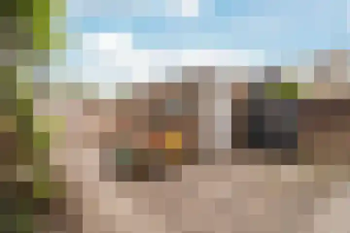 Dokter Bonstraat 13 Assendelft thumbnail 35