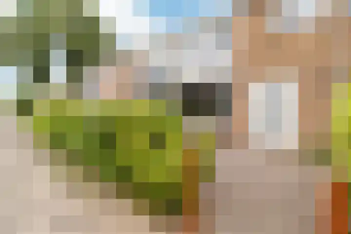 Dokter Bonstraat 13 Assendelft thumbnail 41