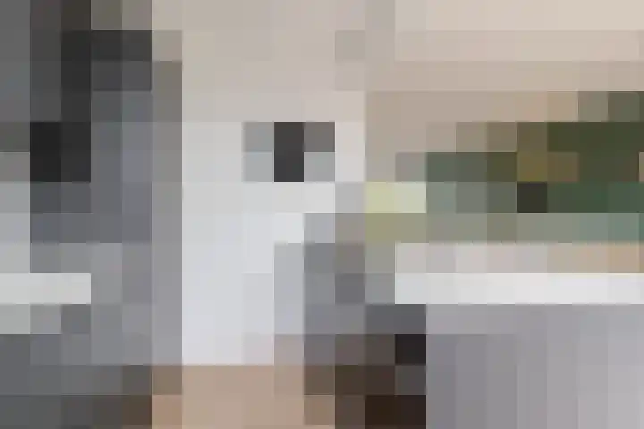 Dokter Bonstraat 13 Assendelft thumbnail 5