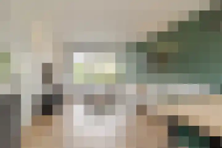 Dokter Bonstraat 13 Assendelft thumbnail 7