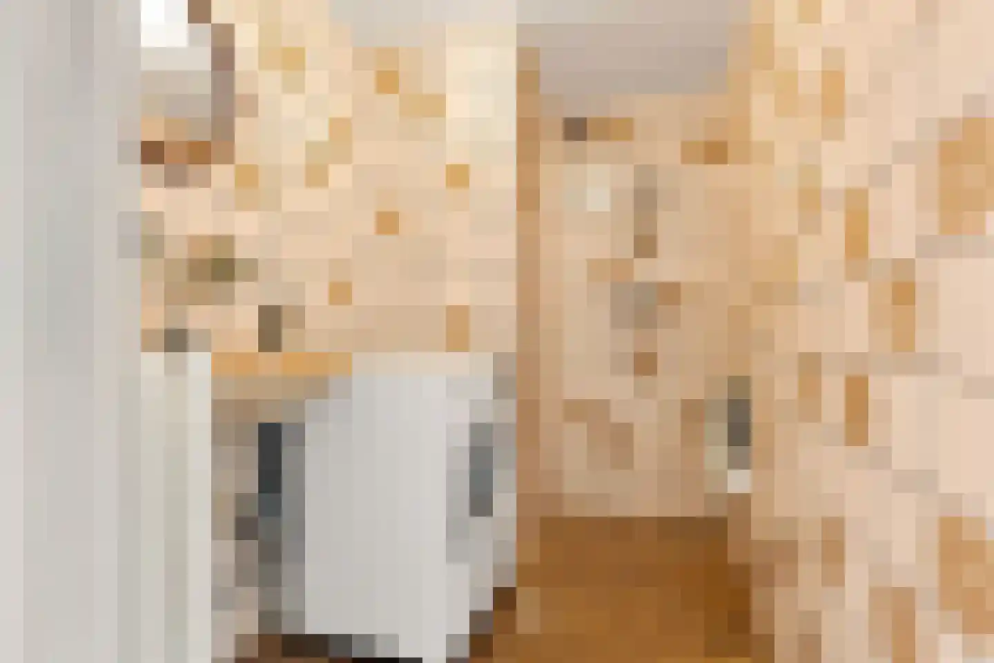 Dokter Bonstraat 29 Assendelft thumbnail 22
