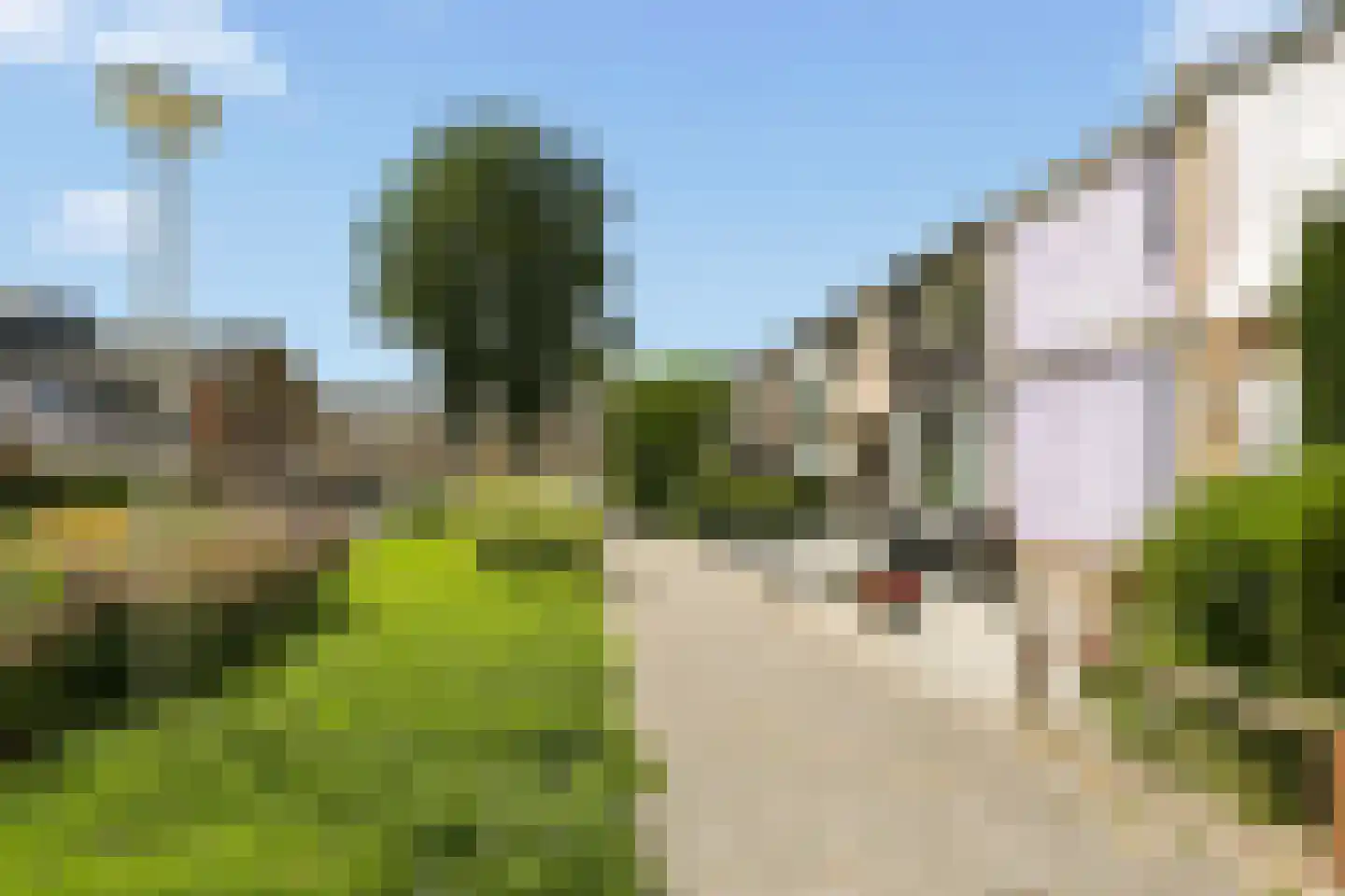 Dokter Bonstraat 29 Assendelft thumbnail 25