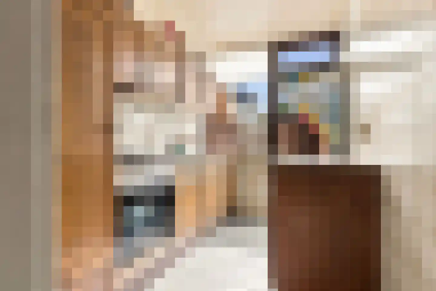 Dokter Bonstraat 29 Assendelft thumbnail 7