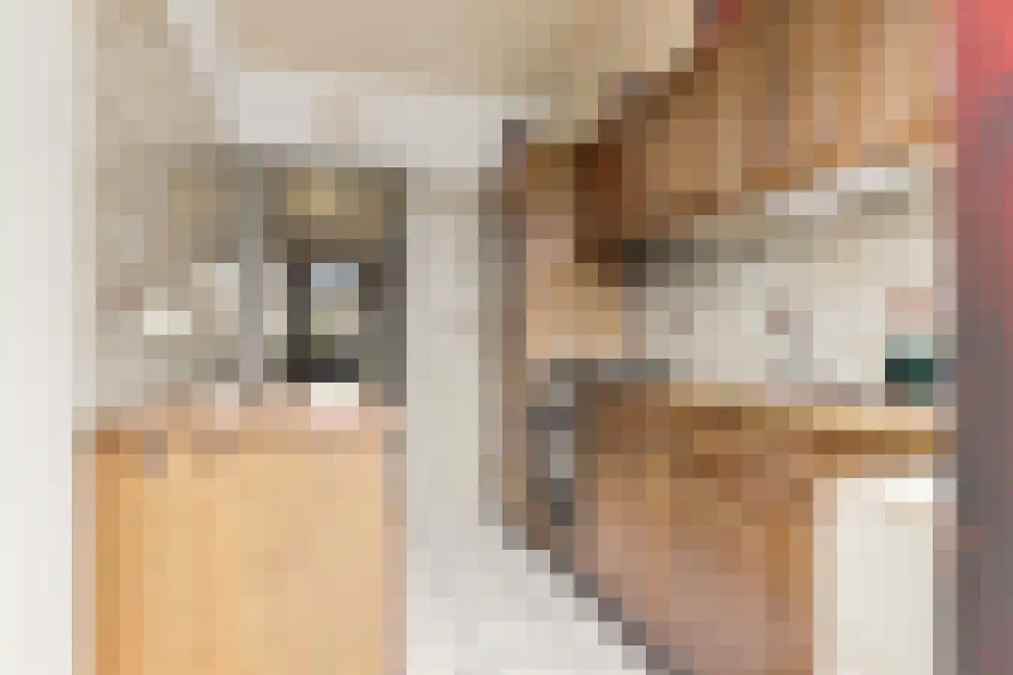 Dokter Bonstraat 29 Assendelft thumbnail 8