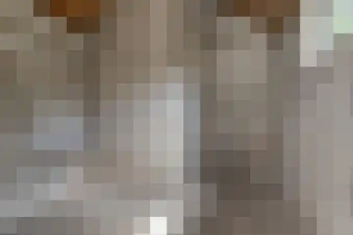 Dokter Bonstraat 3 Assendelft thumbnail 11