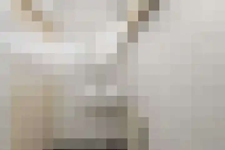 Dokter Bonstraat 3 Assendelft thumbnail 17