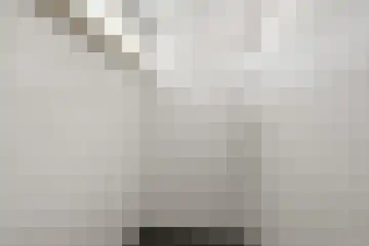 Dokter Bonstraat 3 Assendelft thumbnail 18