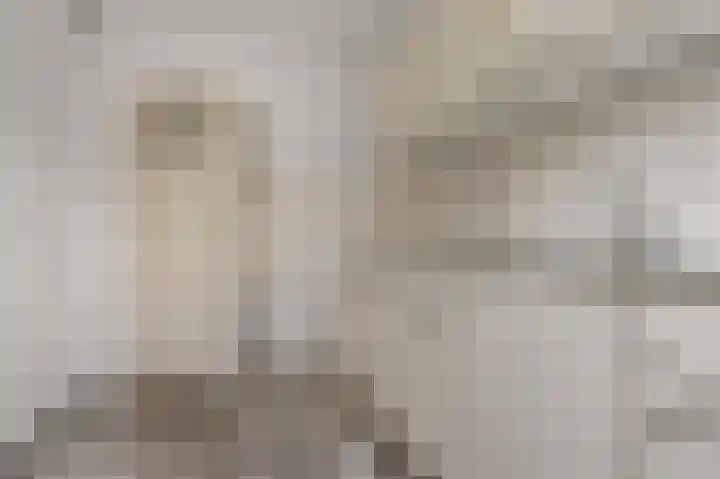 Dokter Bonstraat 3 Assendelft thumbnail 6