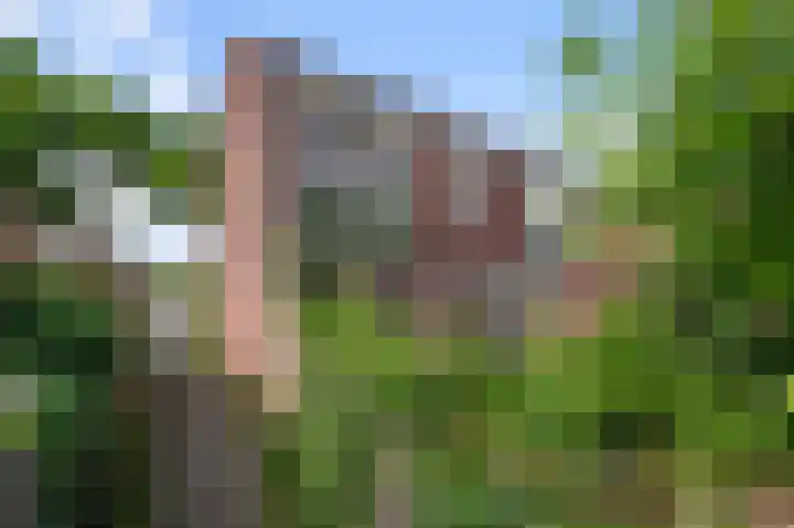 Dokter Bonstraat 3 Assendelft thumbnail 8