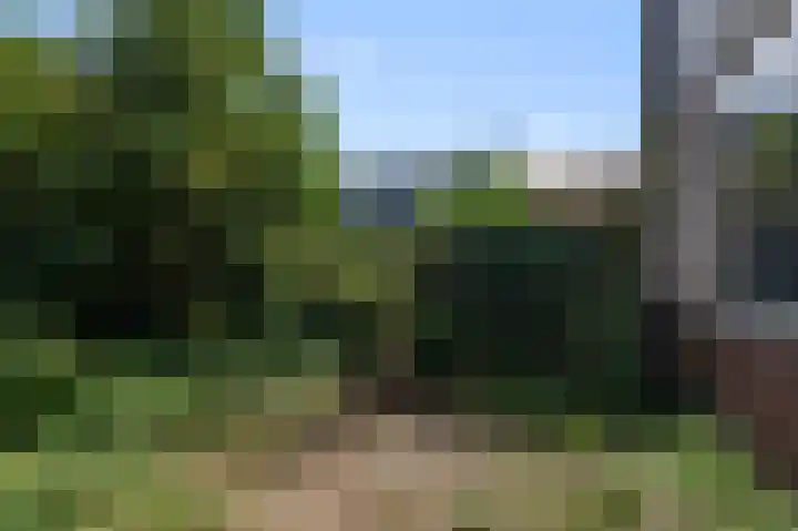 Dokter Bonstraat 3 Assendelft thumbnail 9