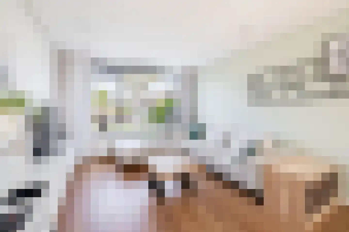 Dokter Bonstraat 88 Assendelft thumbnail 15