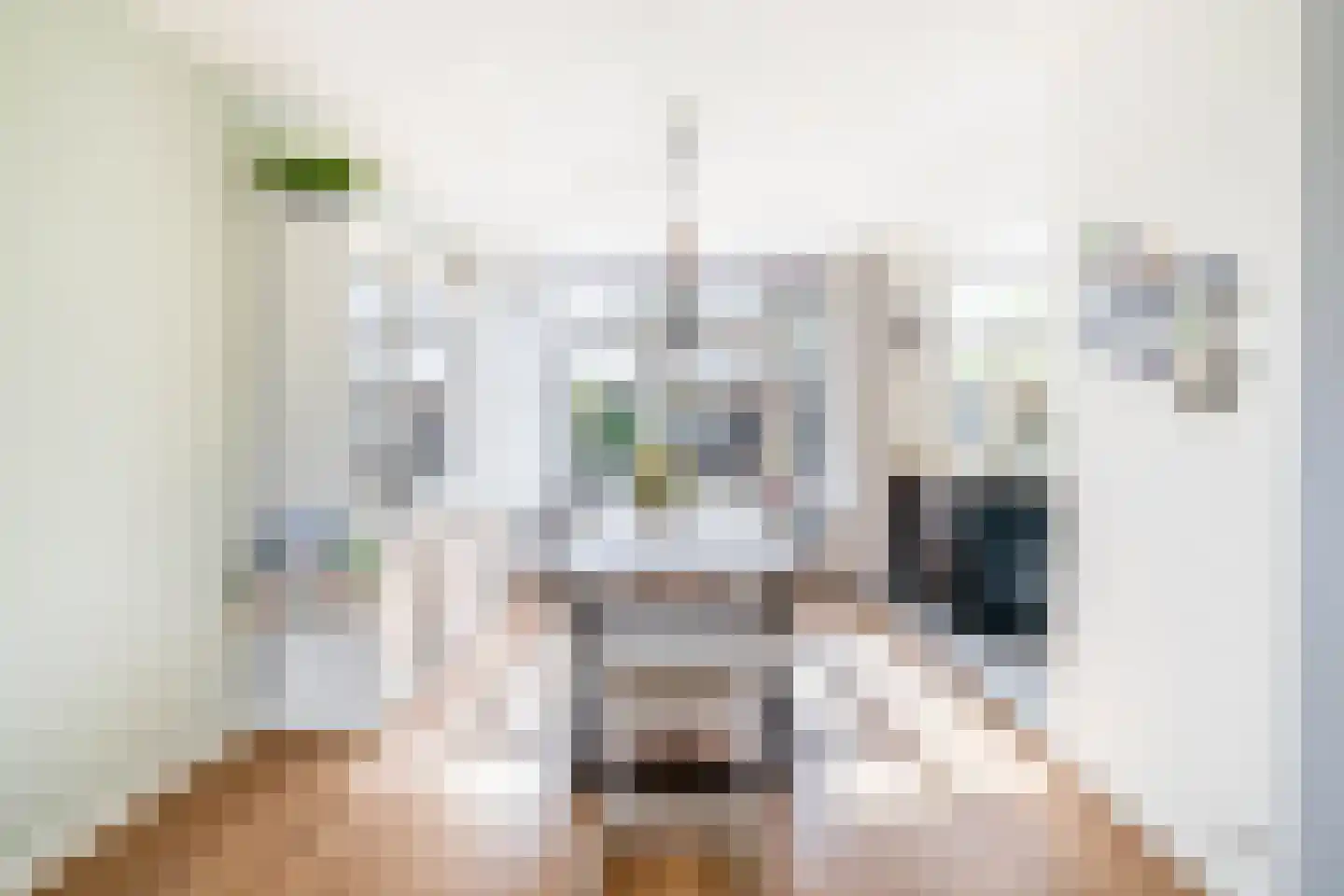 Dokter Bonstraat 88 Assendelft thumbnail 17