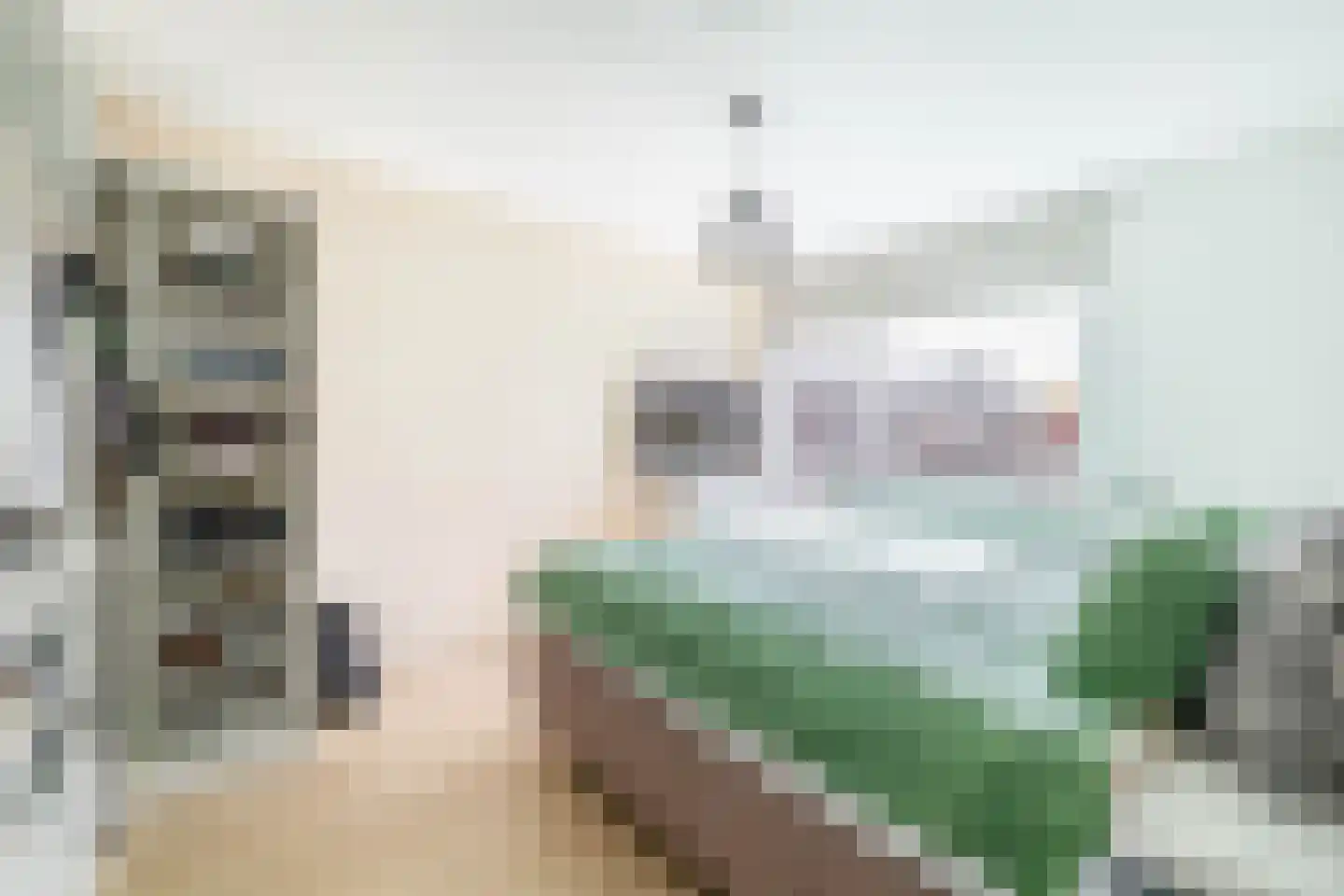 Dokter Bonstraat 88 Assendelft thumbnail 24