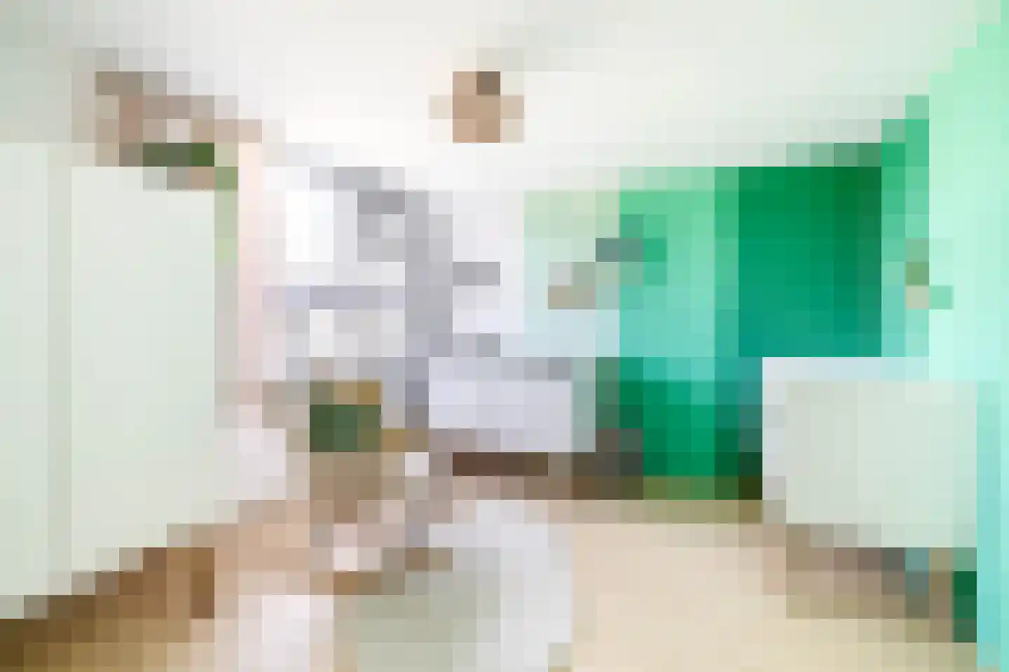 Dokter Bonstraat 88 Assendelft thumbnail 27
