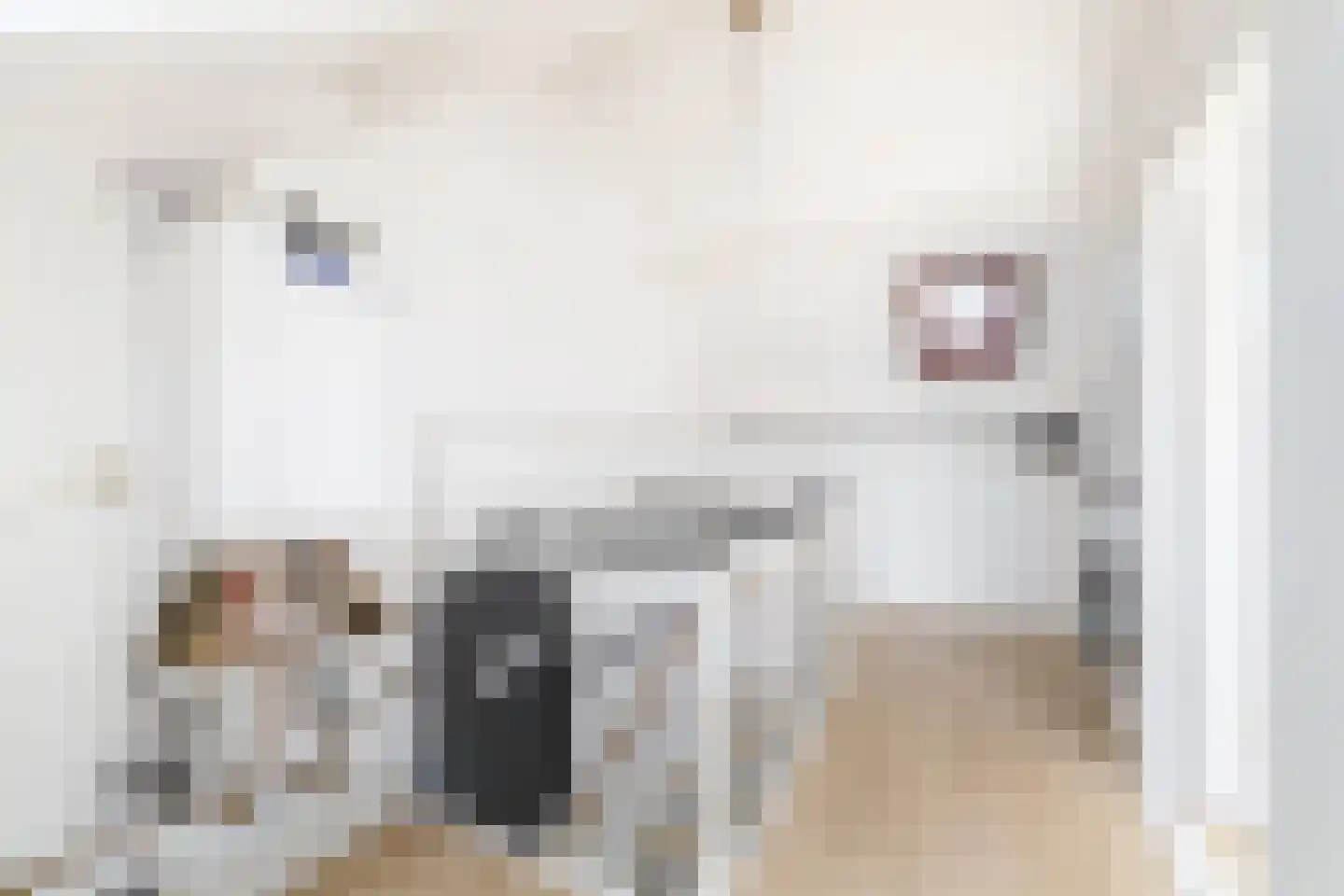 Dokter Bonstraat 88 Assendelft thumbnail 33